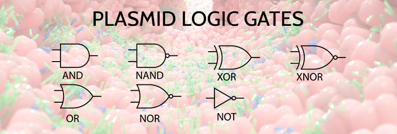Plasmid Logic Gates Image