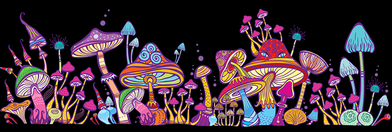 Psychedelics show promise for mental health disorders